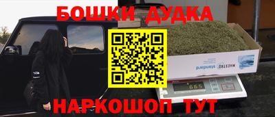 PSILOCYBIN Гудермес
