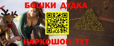 PSILOCYBIN Гудермес