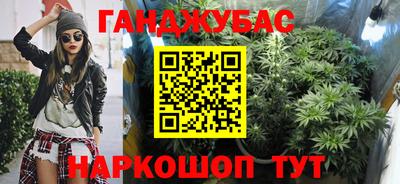 PSILOCYBIN Гудермес