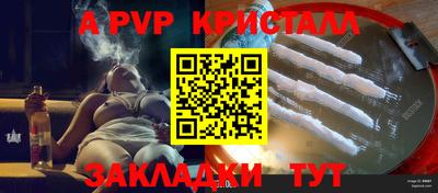 PSILOCYBIN Гудермес