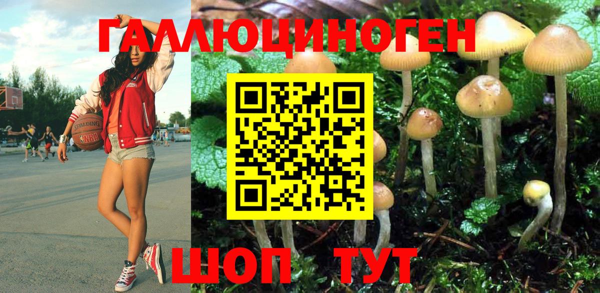 Железногорск  купить наркоту  Вход с VPN  Псилоцибиновые грибы Cubensis 